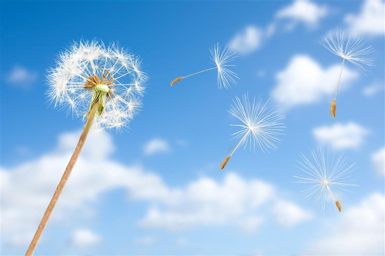 Quando il respiro è sotto controllo, il cuore sarà in pace